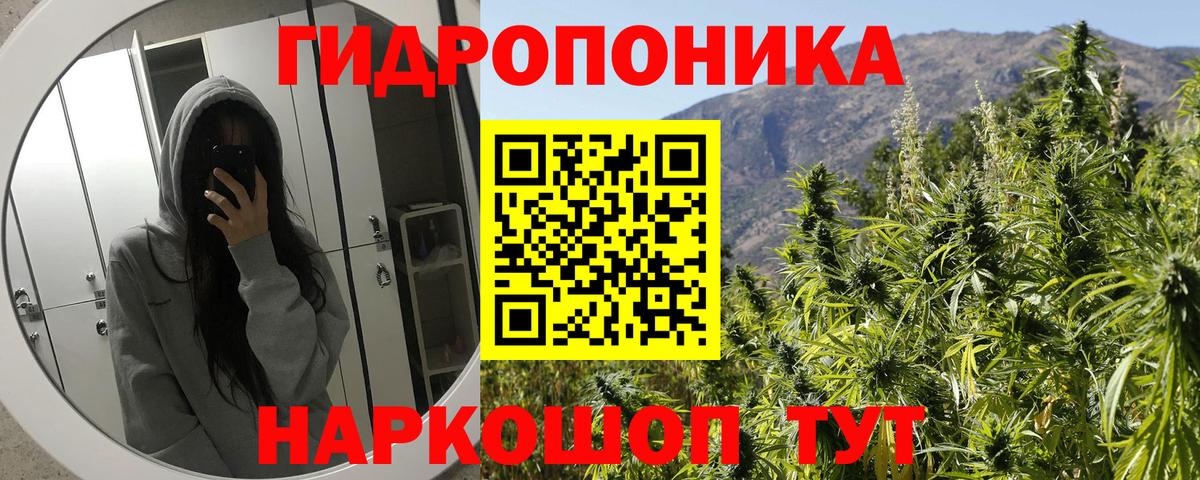 Шишки марихуана AK-47 Абинск